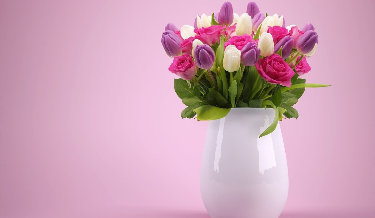 Choosing Paint Colours for North-Facing Victorian Rooms